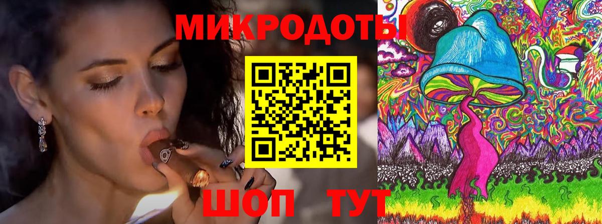 Псилоцибиновые грибы Psilocybine cubensis  Вход с VPN  Нижний Тагил 